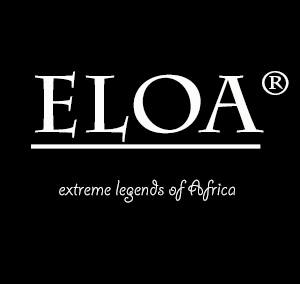 Logo 4